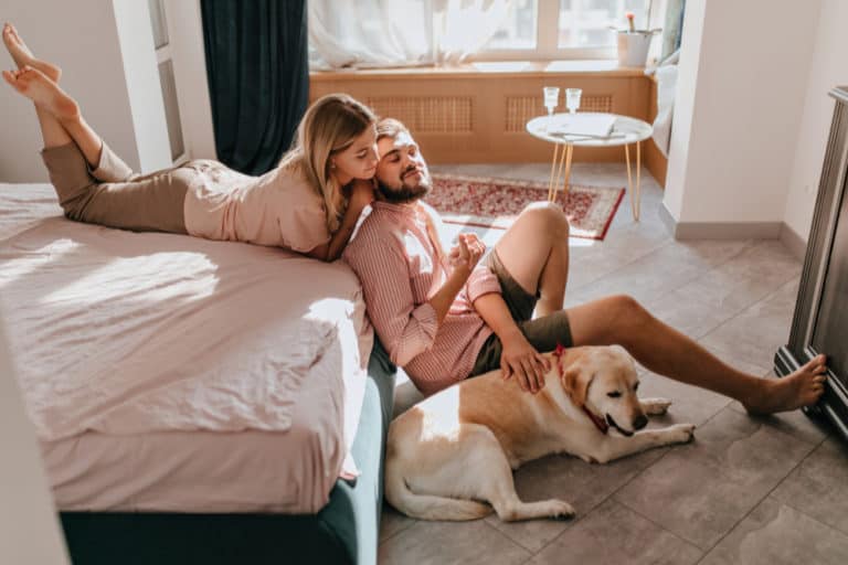 young couple lovers resting bedroom girl comfortable clothes lies bed looks her boyfriend while he is stroking labrador